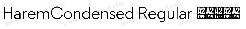 HaremCondensed Regular字体转换